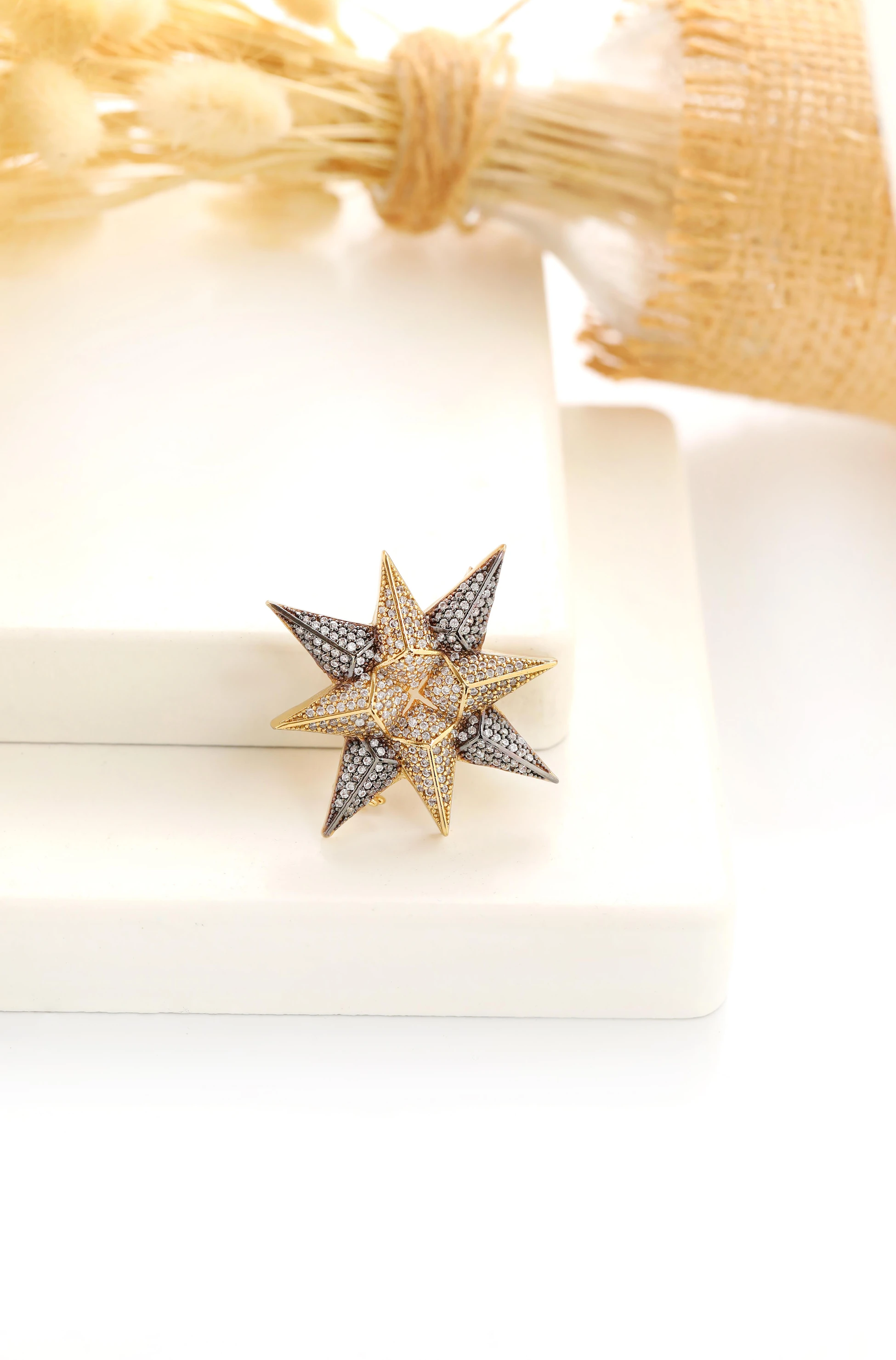 Kutup Yıldızı Broş