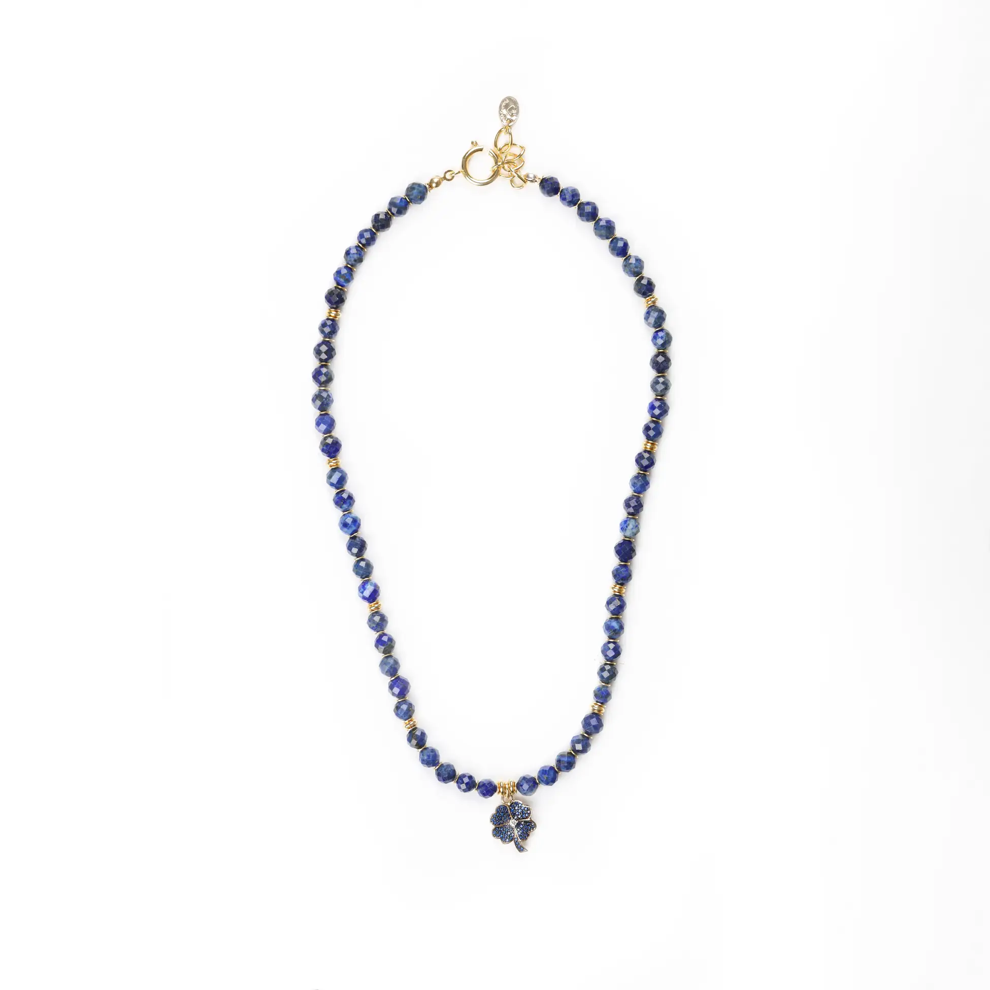 Zarif Çiçek Uçlu Lapis Kolye